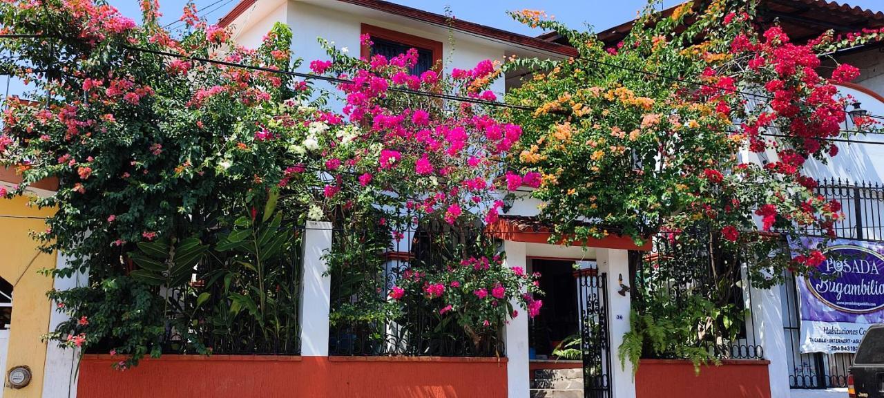 Posada Bugambilias كاتيماكو المظهر الخارجي الصورة
